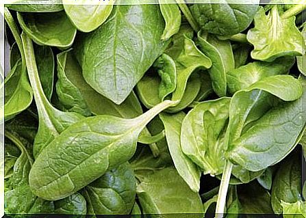 Spinach can help control asthma