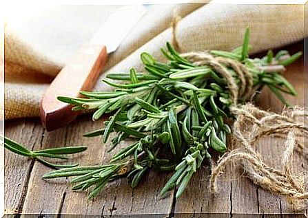 Rosemary can help control asthma