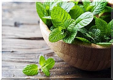 Mint can help control asthma