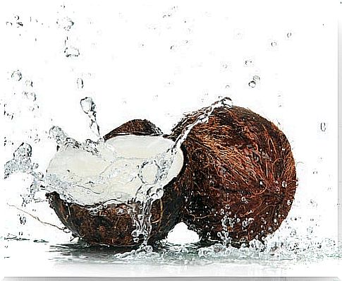 Coconut in the diet to lose fat and calories