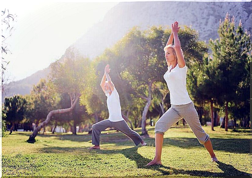 Yoga and Tai chi are suitable exercises for seniors and seniors