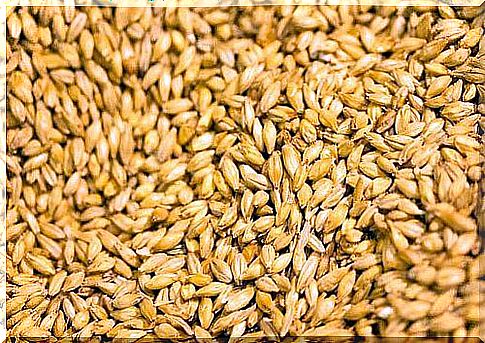 Barley helps improve liver function