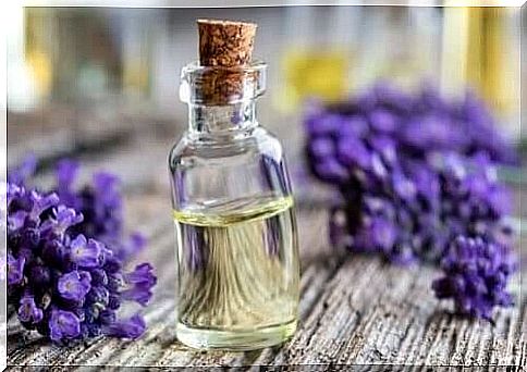 5 Unusual Uses of Lavender Extract