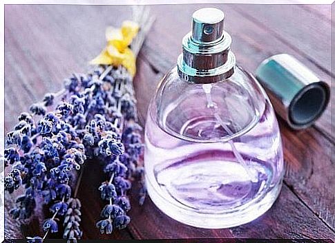 Lavender extract perfume