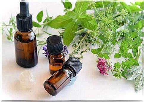 Oregano essential oil