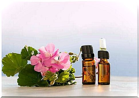 Geranium essential oil