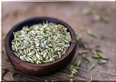 Fennel is one of the home remedies to treat stomach gas