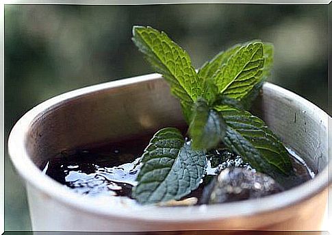 Spearmint is one of the home remedies to treat stomach gas