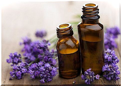 lavender oil