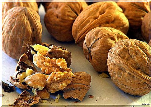 nueces