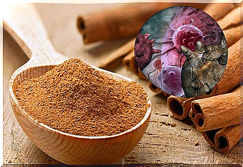 8 amazing healing benefits of cinnamon