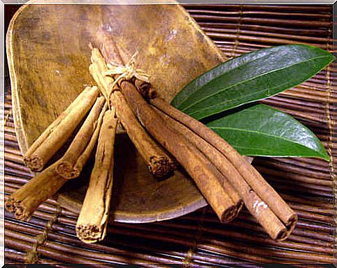 cinnamon laurel