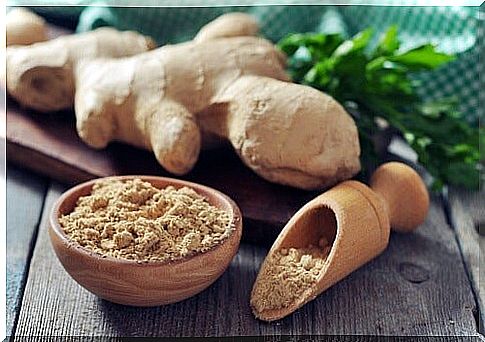 ginger to lose weight