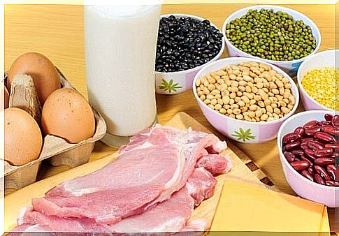 Protein sources