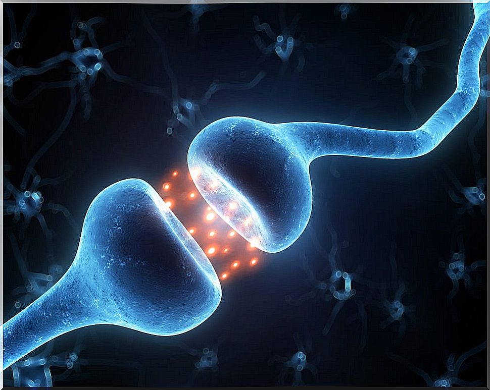 Image of botulinum toxin in the body