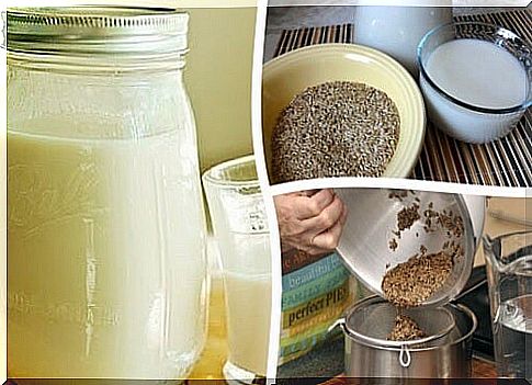 Do you know birdseed milk?  Discover reasons to start taking it