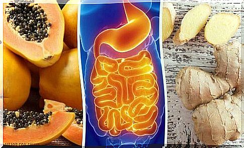 Fruits and Herbs to Relieve Digestive Problems