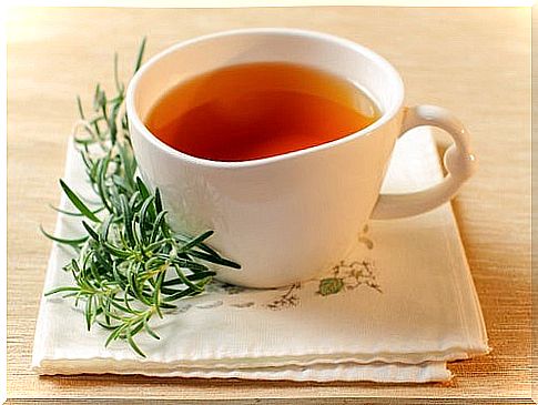 Rosemary Tea to Cure Digestive Problems