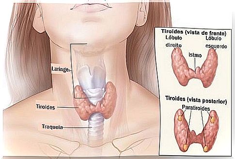 How To Detect Thyroid Problems In Time