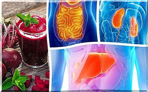 How to detoxify each vital organ