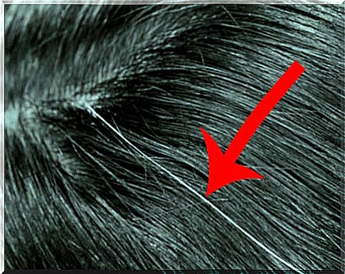 How to disguise gray hair in a homemade way