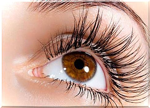 How to prevent eyelash falling out with some homemade tricks