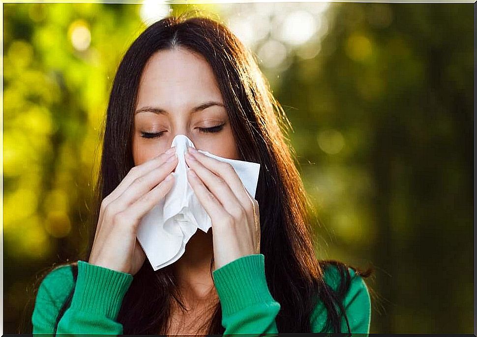 How to prevent respiratory allergies?  6 tips