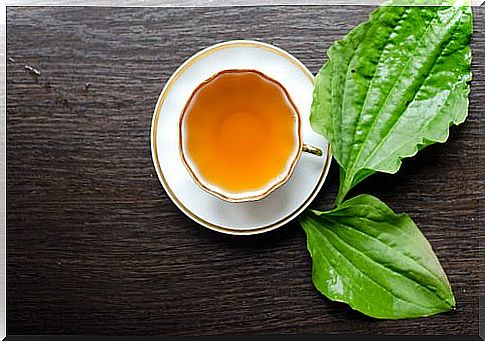 Plantain tea helps reduce facial blemishes