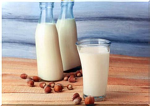 Properties of hazelnut milk