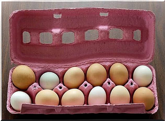 Egg box