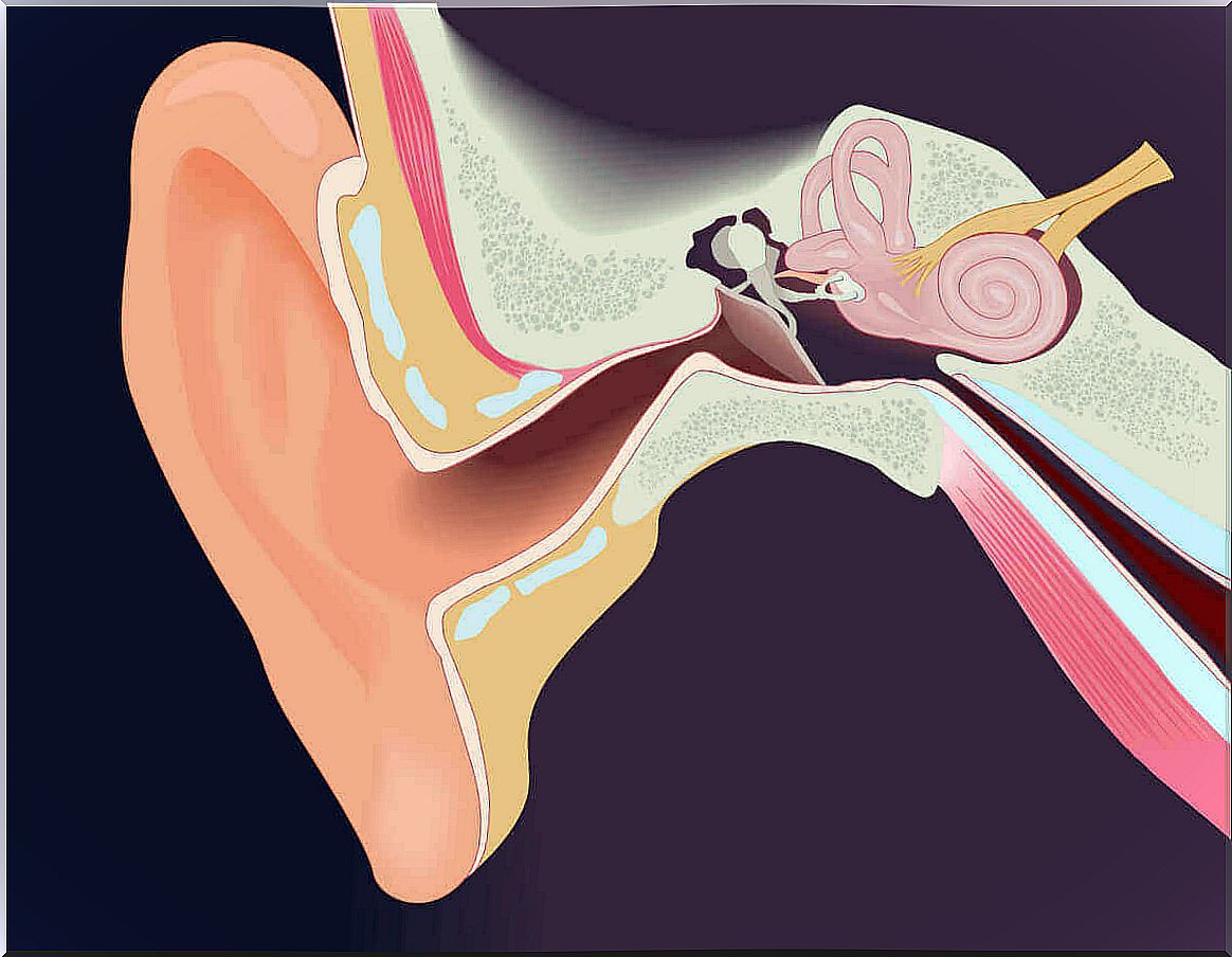 Surgery for exostosis: when to operate?