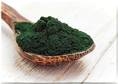 of spirulina