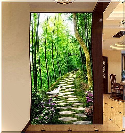 How to decorate the hallways at home