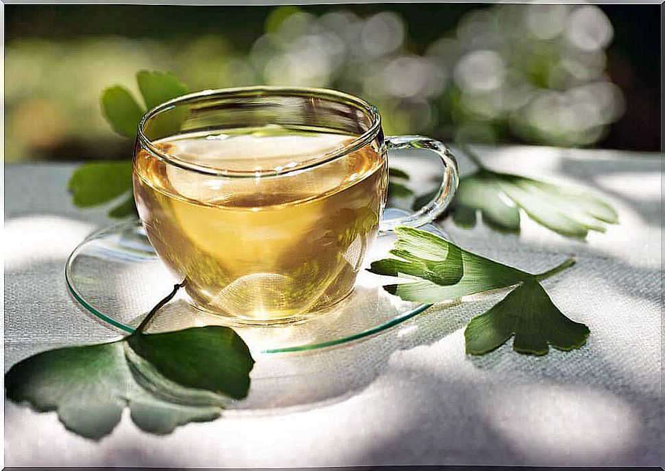 Ginko Biloba infusion helps improve circulation