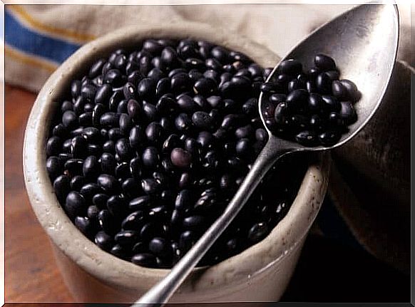 The diet indicated for breastfeeding contains black beans