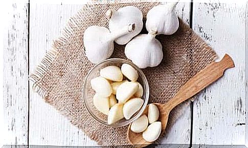 Garlic has beneficial properties for health